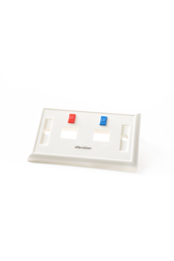 Faceplate de 2 puertos iconable - Image 2
