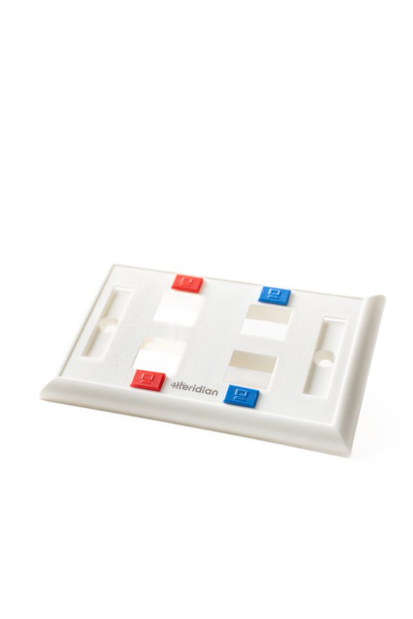 Faceplate de 4 puertos iconable - Image 2